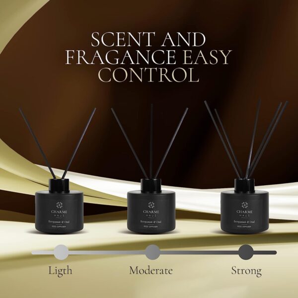 Reed Diffuser, Includes 5 Fiber Sticks, Home Goods Perfect for Stress Relieving, Decorating, and harmonizing Any Space. (Oud & Bergamot) - Image 2